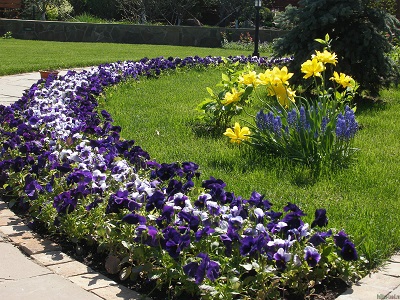 Цветочное искусство в саду: высаживаем рабатку по правилам