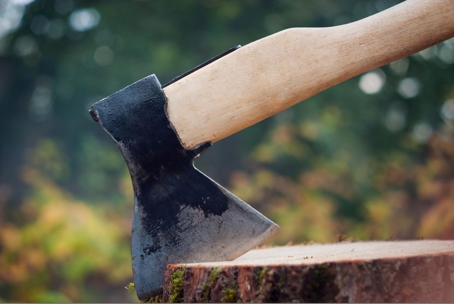 Топор – инструмент плотника